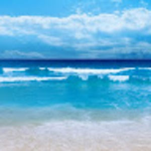 Meet your Posher, Piper